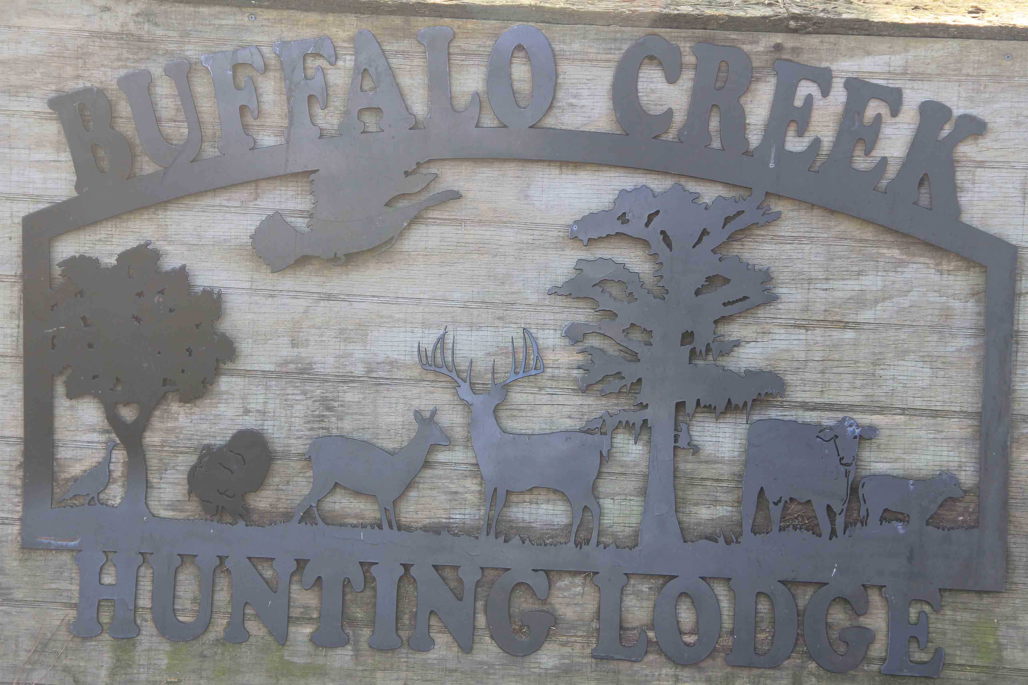 Buffalo Creek sign