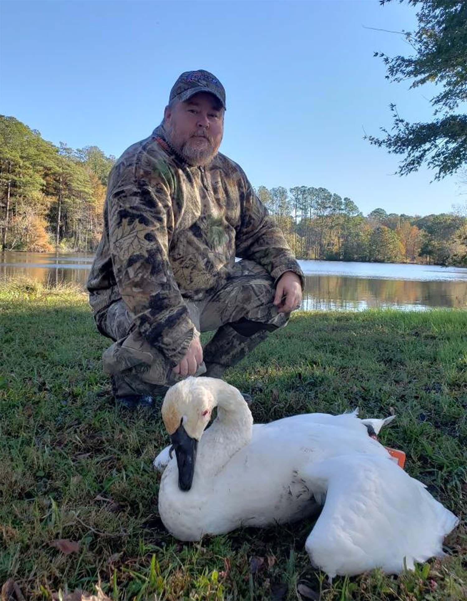 Client and swan Client and swan