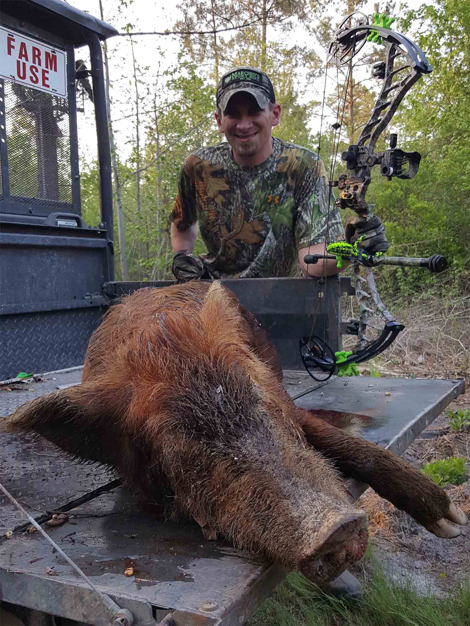 Pig with Bow Pig with Bow