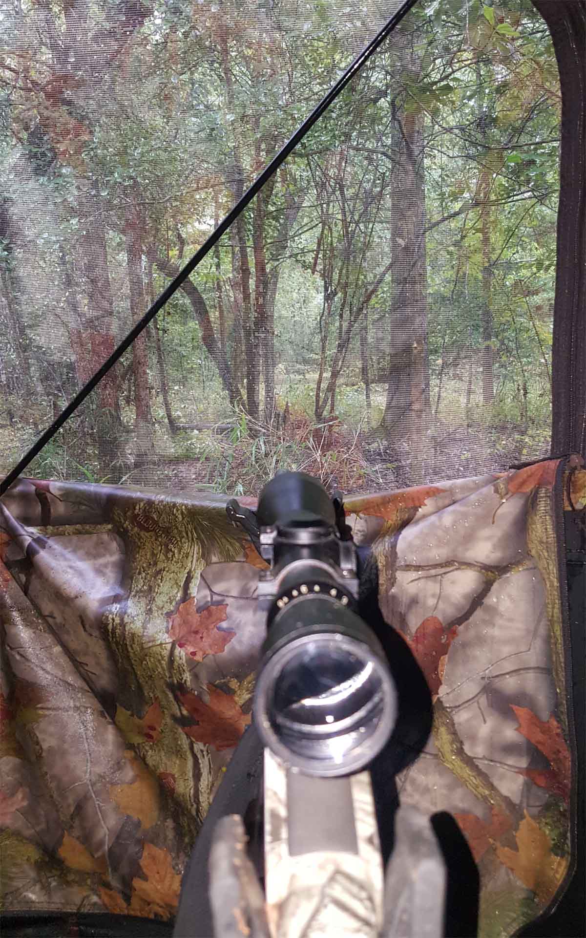Rifle in blind Rifle in blind