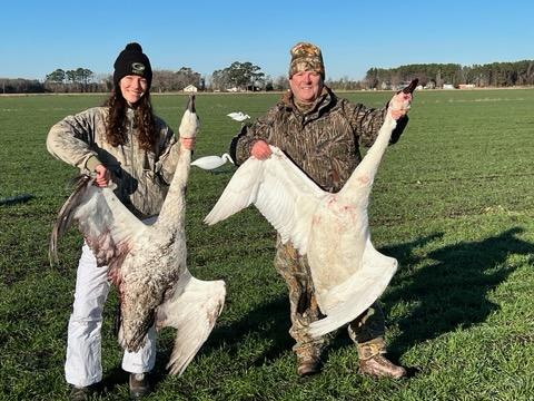 Swans
